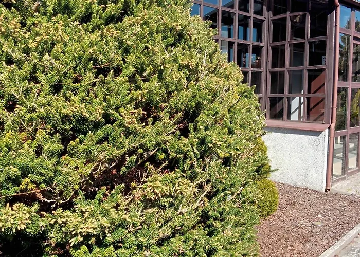 Prázdninový dům Na Stoku